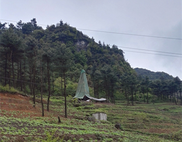 把脈“黔”鋅地，問診開良方